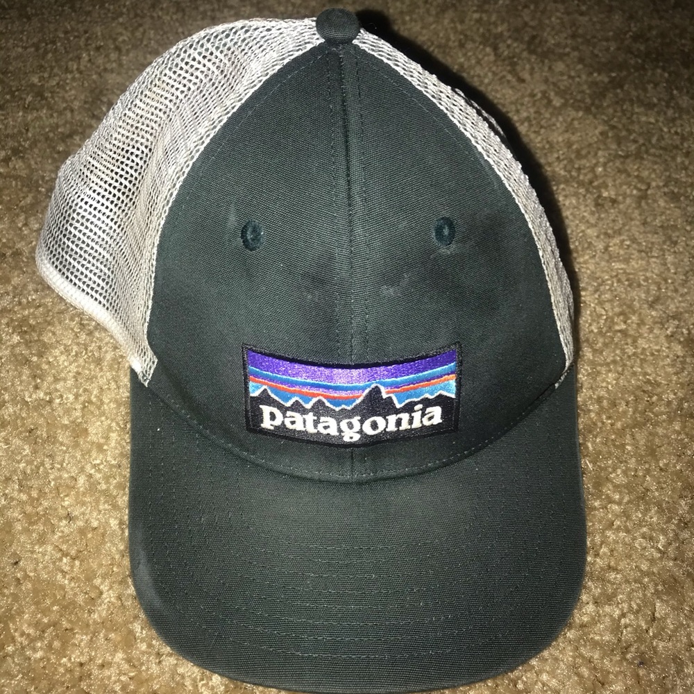 Patagonia snap back